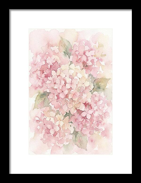 Delicate Hydrangea Blossoms