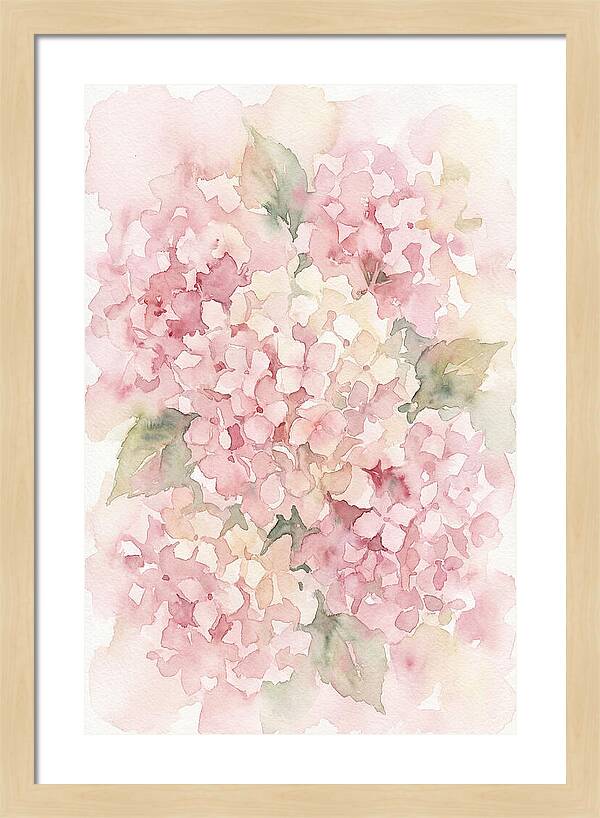 Delicate Hydrangea Blossoms