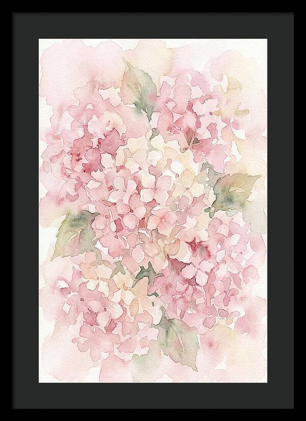 Delicate Hydrangea Blossoms