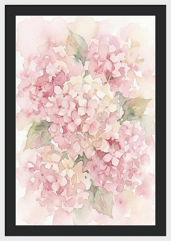 Delicate Hydrangea Blossoms