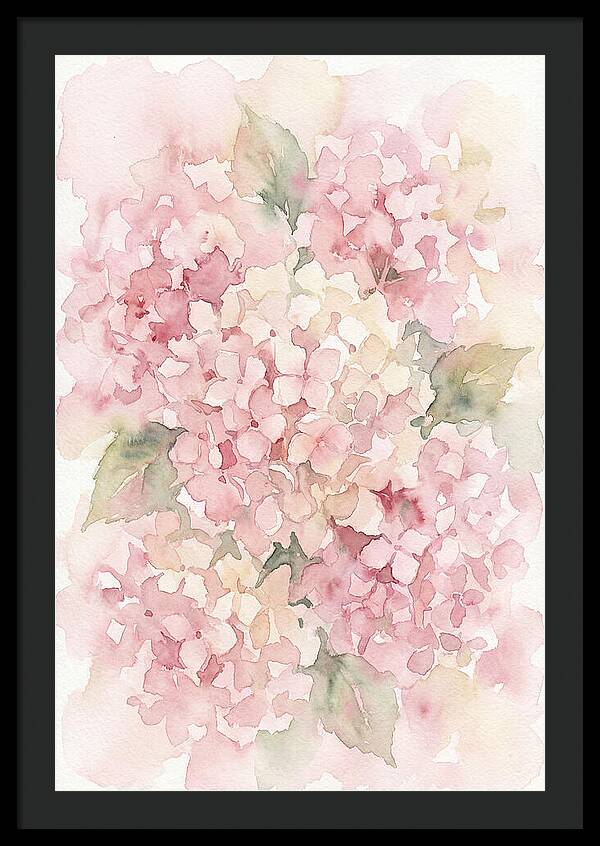 Delicate Hydrangea Blossoms