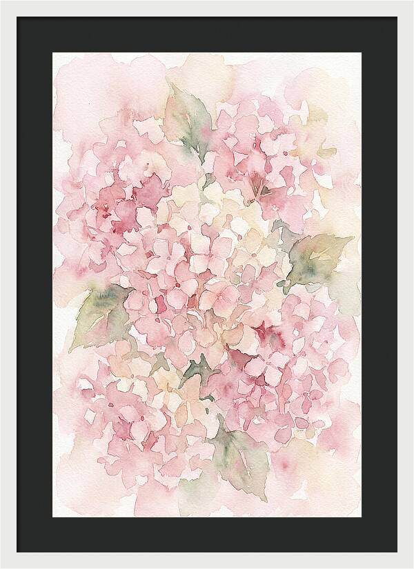 Delicate Hydrangea Blossoms