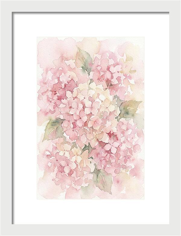 Delicate Hydrangea Blossoms