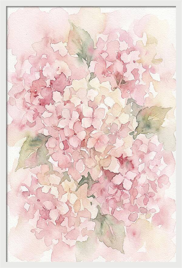 Delicate Hydrangea Blossoms