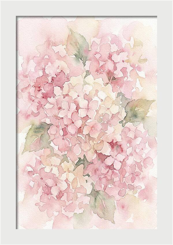 Delicate Hydrangea Blossoms