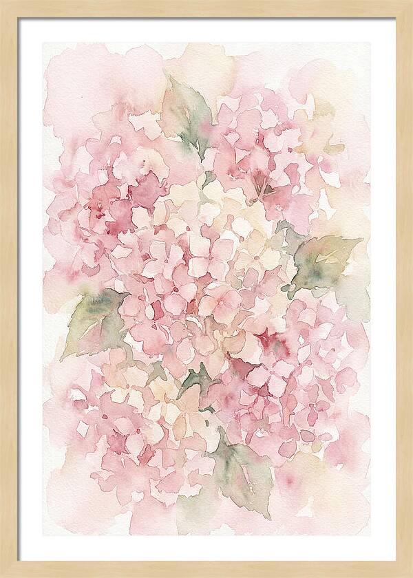 Delicate Hydrangea Blossoms