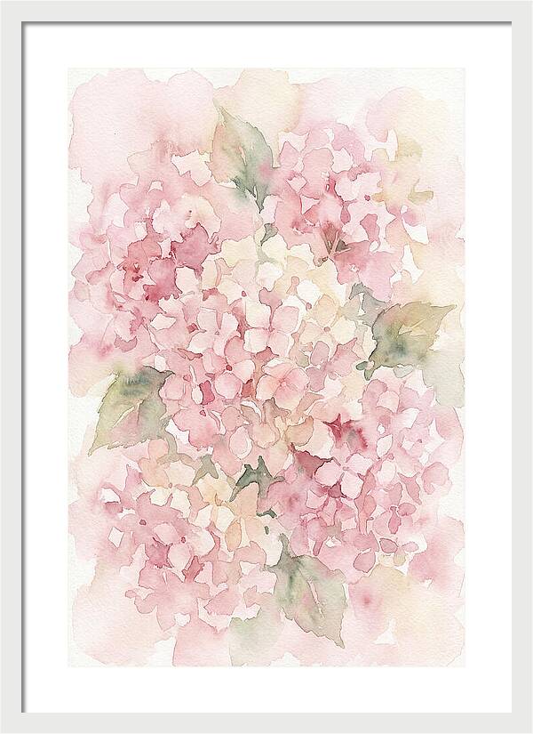 Delicate Hydrangea Blossoms