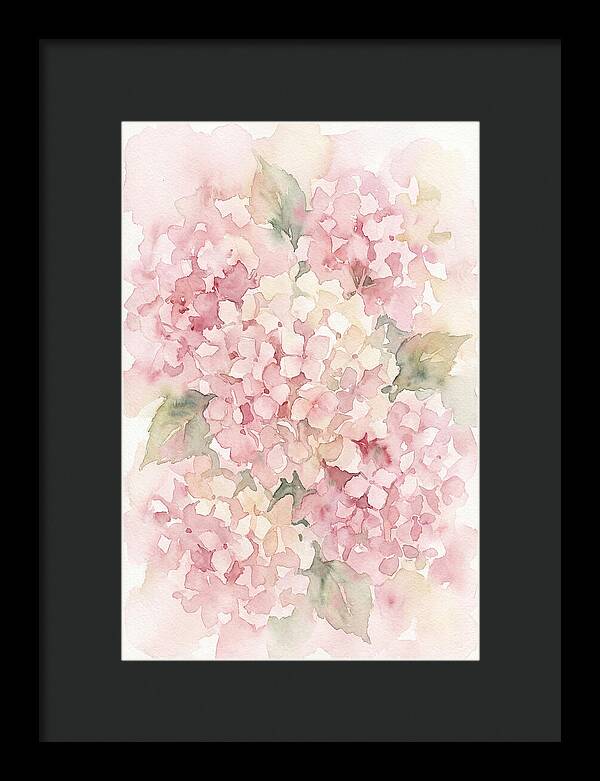 Delicate Hydrangea Blossoms