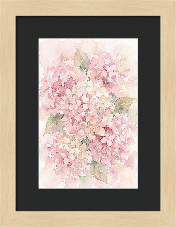 Delicate Hydrangea Blossoms