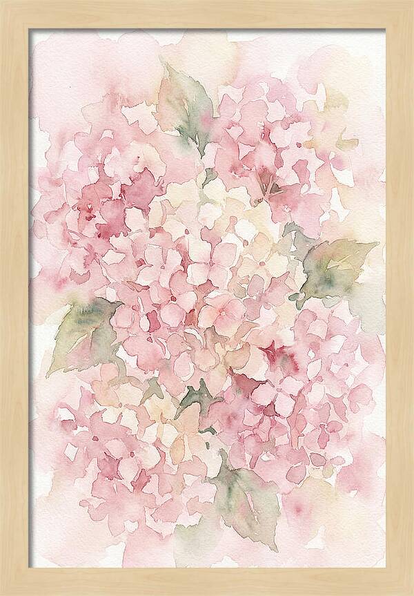 Delicate Hydrangea Blossoms