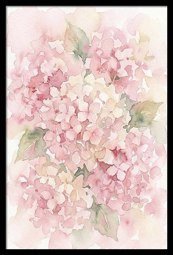 Delicate Hydrangea Blossoms