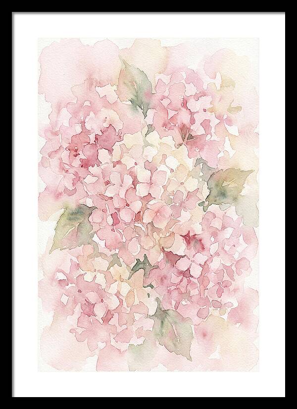 Delicate Hydrangea Blossoms