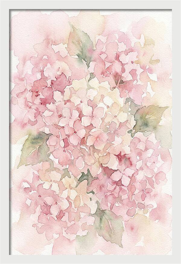Delicate Hydrangea Blossoms