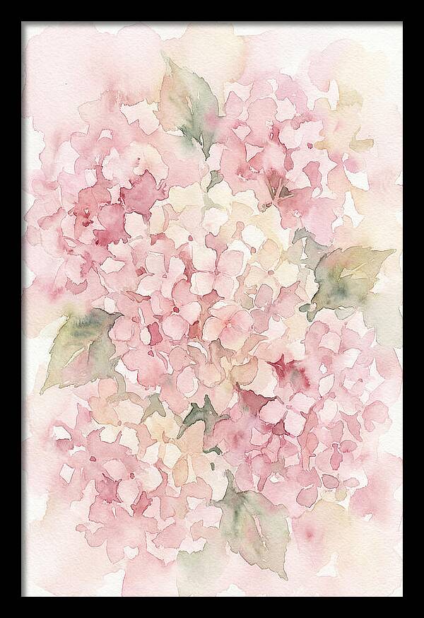 Delicate Hydrangea Blossoms