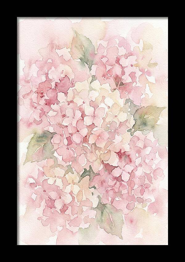 Delicate Hydrangea Blossoms