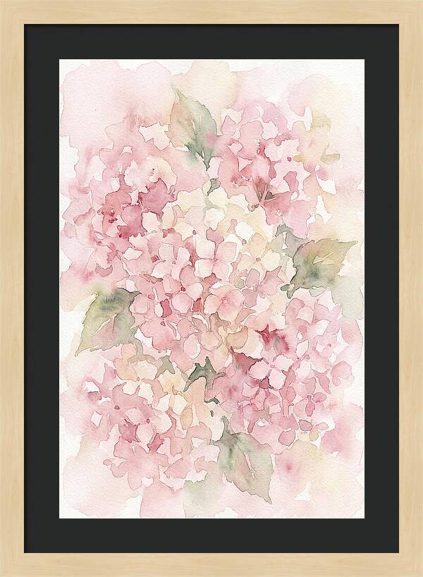 Delicate Hydrangea Blossoms