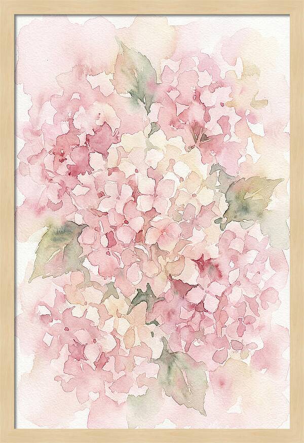Delicate Hydrangea Blossoms