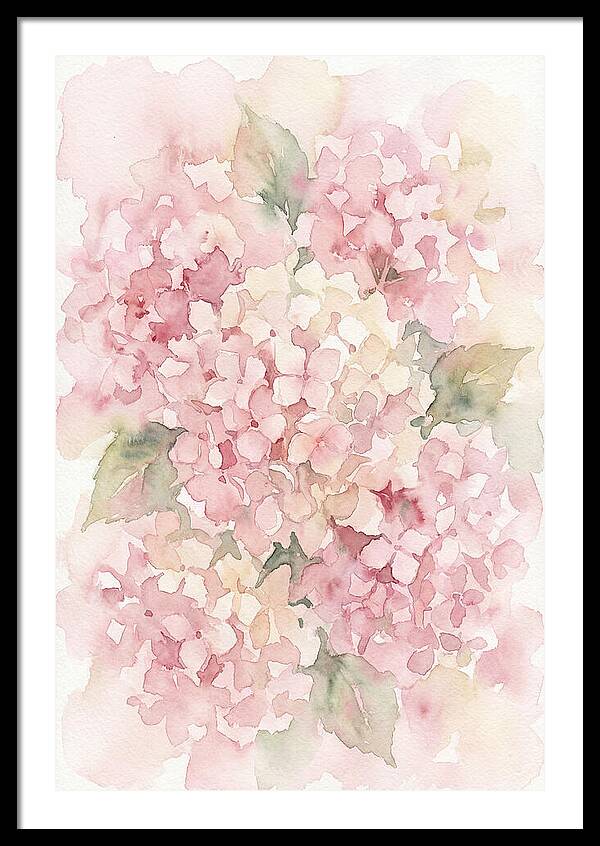 Delicate Hydrangea Blossoms