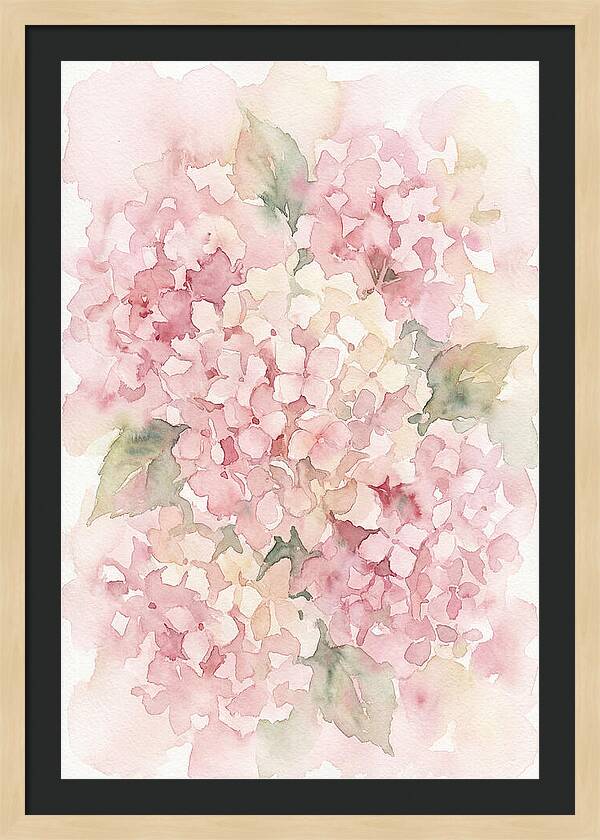 Delicate Hydrangea Blossoms