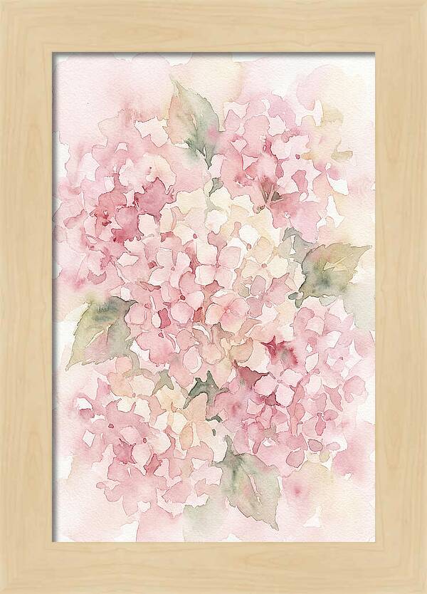 Delicate Hydrangea Blossoms