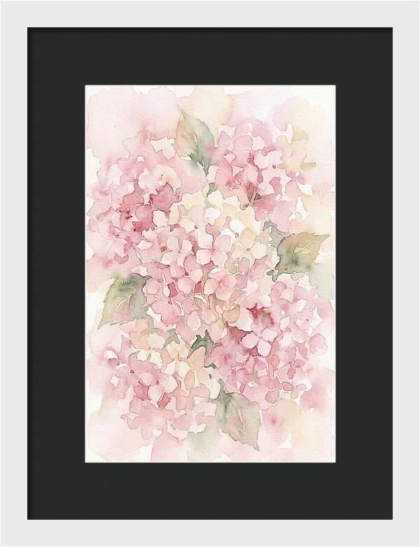 Delicate Hydrangea Blossoms