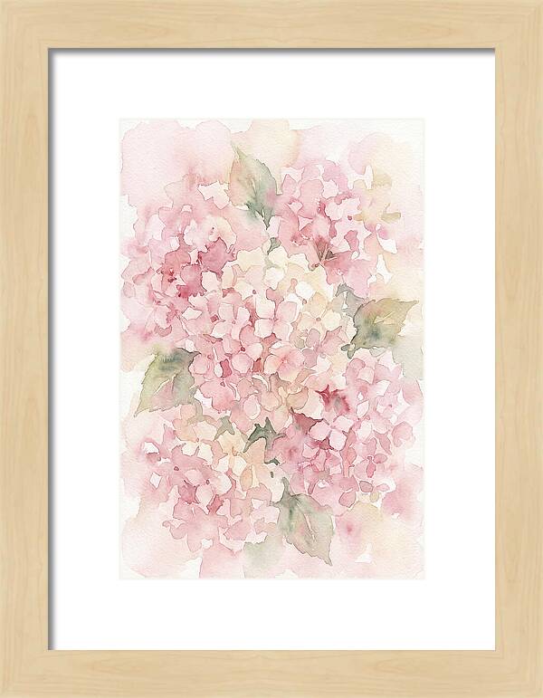 Delicate Hydrangea Blossoms