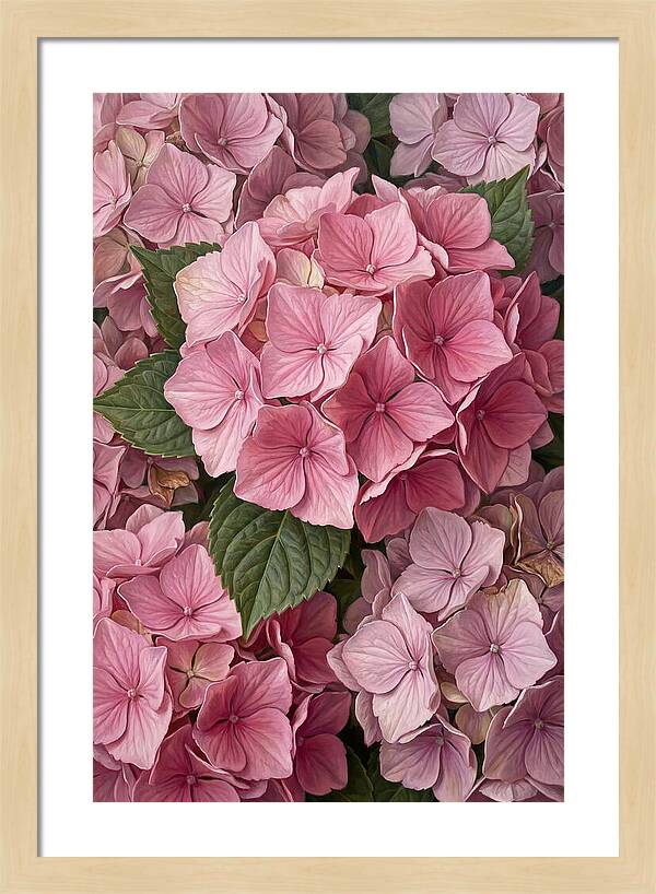 Delicate Pink Hydrangea Blossoms