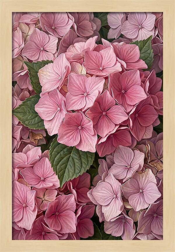Delicate Pink Hydrangea Blossoms