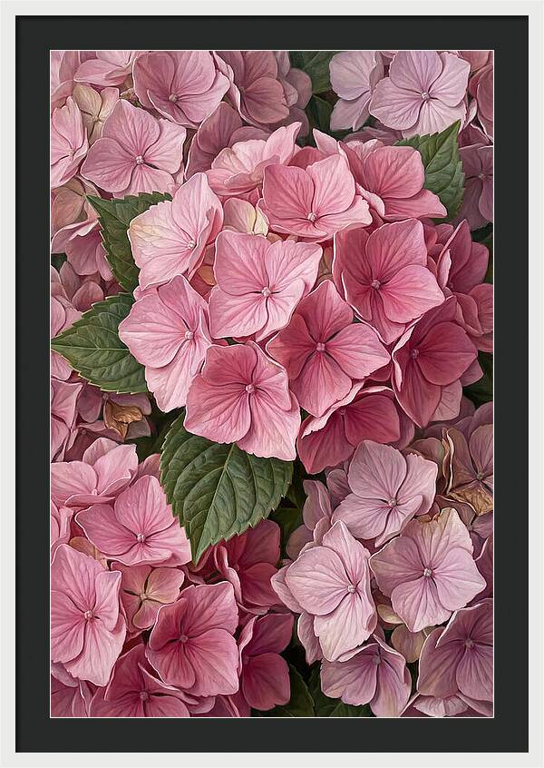 Delicate Pink Hydrangea Blossoms