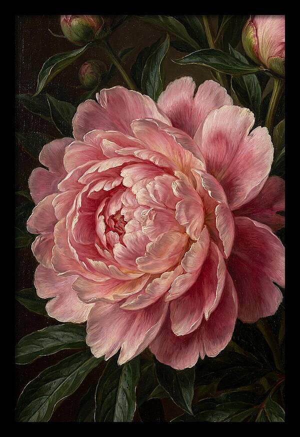 Delicate Pink Peony Bloom