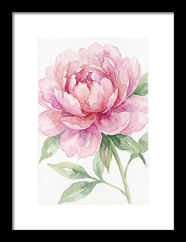 Delicate Pink Peony