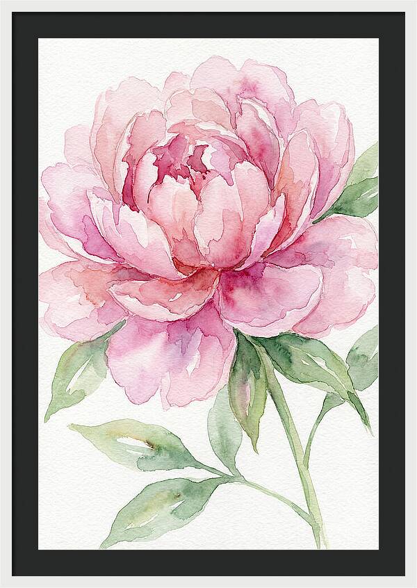 Delicate Pink Peony