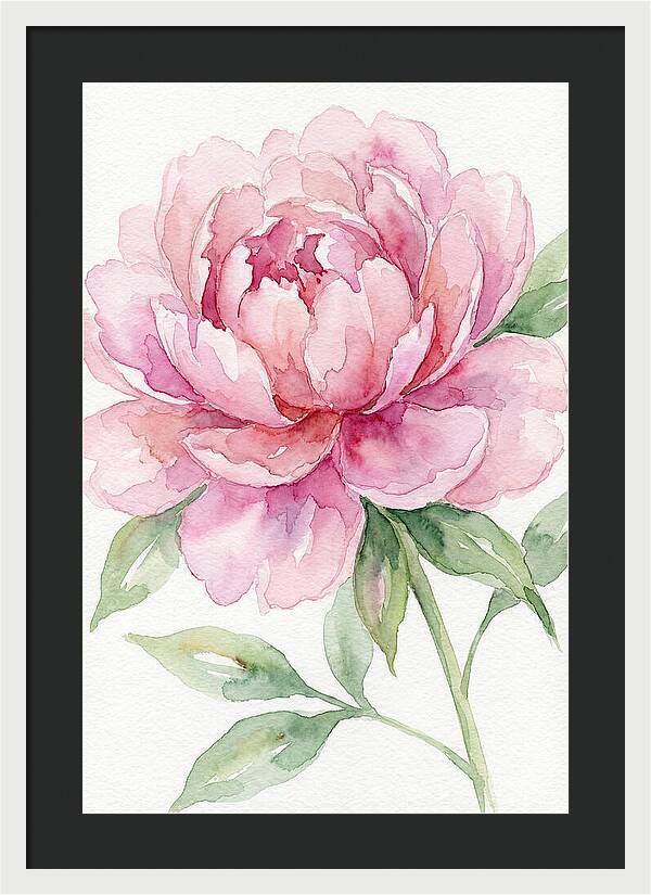 Delicate Pink Peony