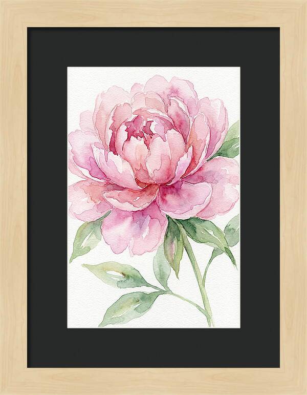 Delicate Pink Peony