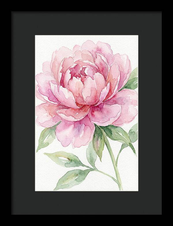 Delicate Pink Peony
