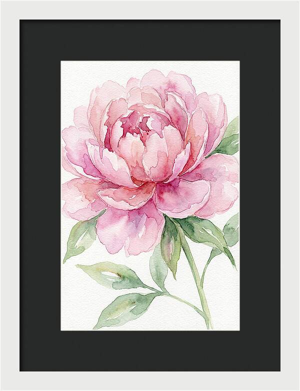 Delicate Pink Peony