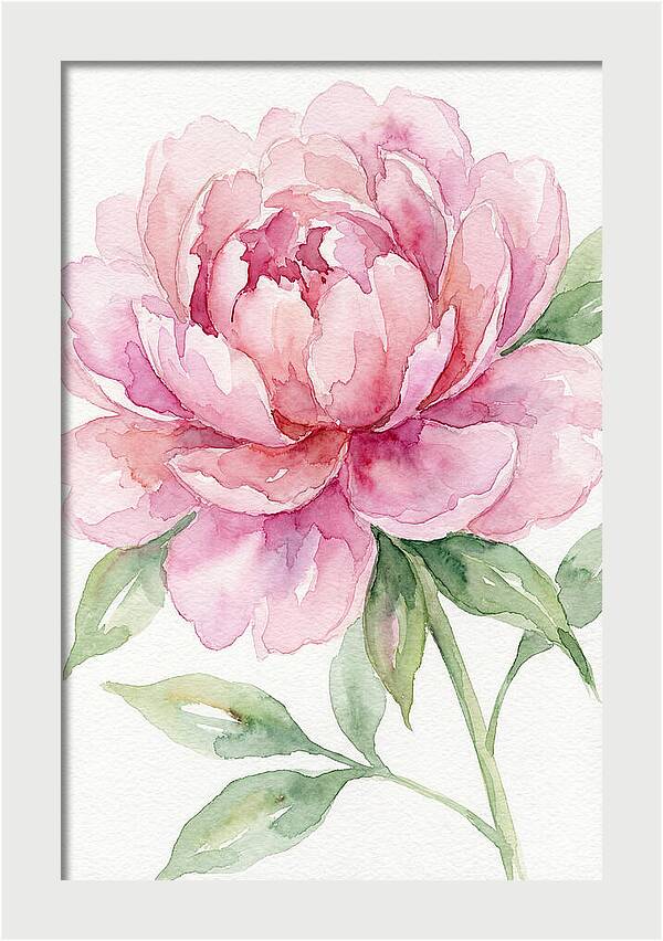 Delicate Pink Peony