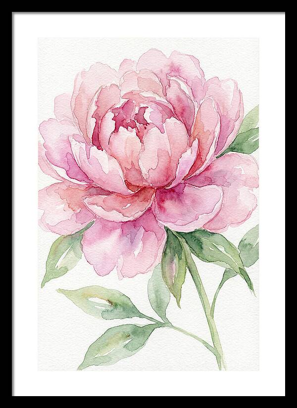 Delicate Pink Peony