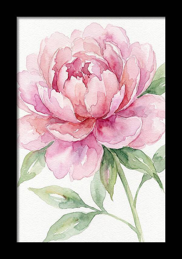 Delicate Pink Peony