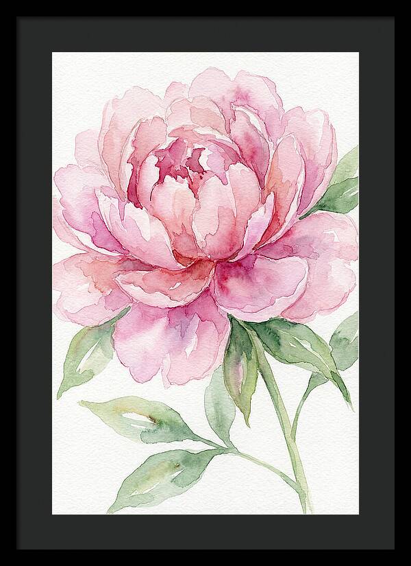 Delicate Pink Peony