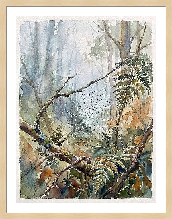Delicate Web In The Forest
