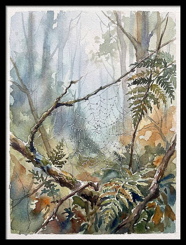 Delicate Web In The Forest