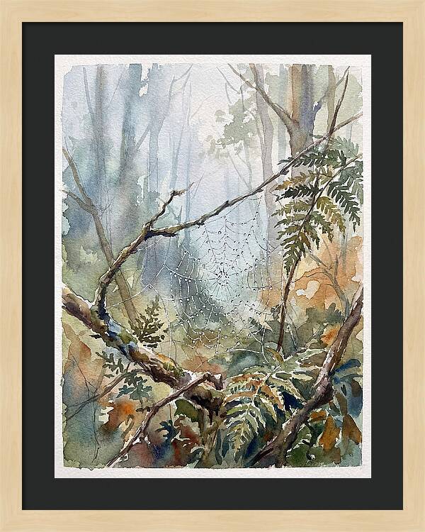Delicate Web In The Forest