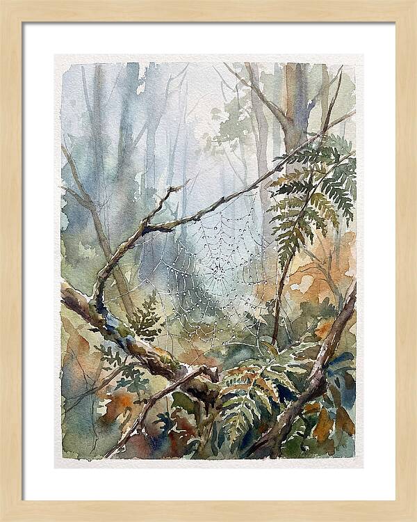 Delicate Web In The Forest