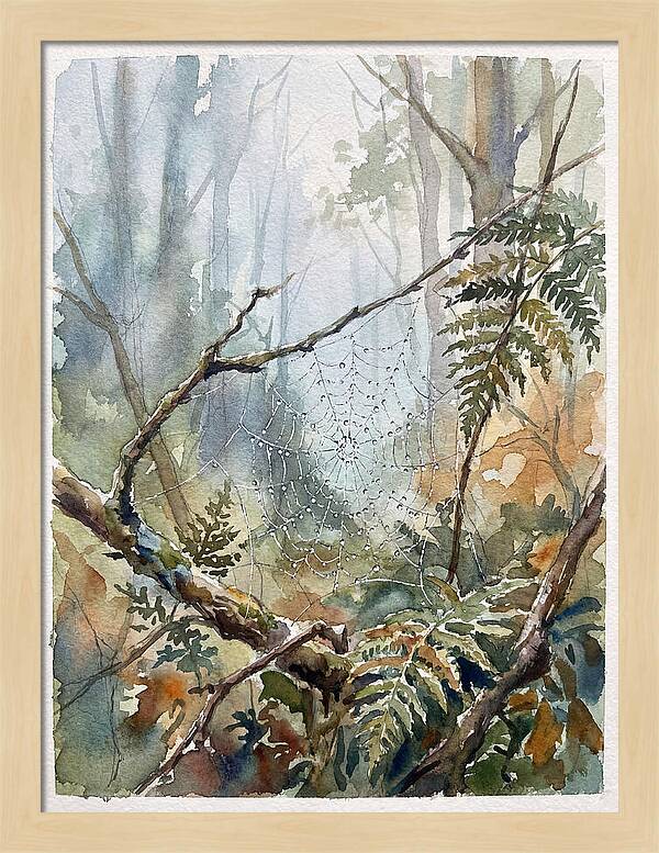 Delicate Web In The Forest