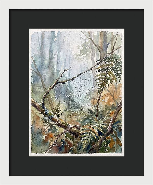 Delicate Web In The Forest