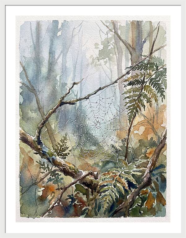 Delicate Web In The Forest