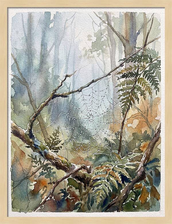 Delicate Web In The Forest