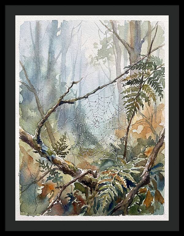 Delicate Web In The Forest