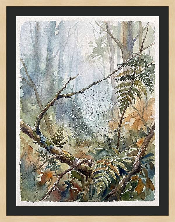 Delicate Web In The Forest